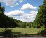 North view to Major Oak