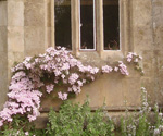 South Bay Window